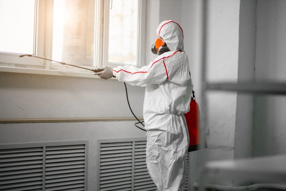 Professional mold remediation services in Oswego, IL